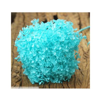 China Delicate& Best Color Stable Quality Preserved Artificial Hydrangea Flower For Home Decoration And Office Decoration for sale