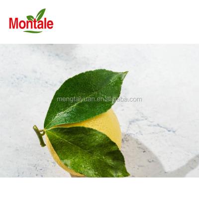 China High Nutritious Top Popularity Montale Eureka Fresh Lemon for sale