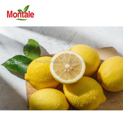 China High Nutritious Merchant's Recommend Montale Fresh Eureka Yellow Lemon for sale