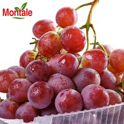 China Natual fresh good quality seedless grape in juicy plastic wholesale best price healthy cartoon fruit candy for sale