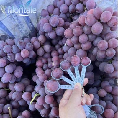 China Factory price natural high quality charm fresh red global grape for sale