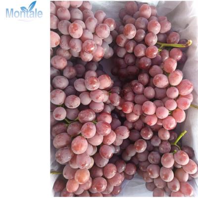 China Natural Wholesale Fresh Global Red Grapes for sale