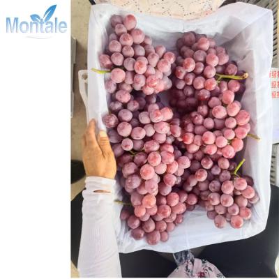 China Factory price natural good quality wholesale sweet fresh red grape for sale