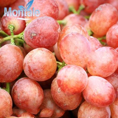 China Natural best price fresh grapes bulk heap fresh red crimson seeded purple grapes for sale