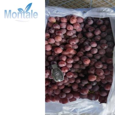 China Crimson red sown purple grapes fresh natural fresh grapes for sale