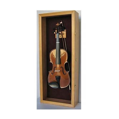 China Hot Sales OEM Musical Instrument Electricnic Guitar Storage Case Guitarguitar for sale