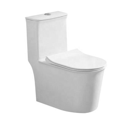 China Double-Flow One-Piece Sanitary Floor-Mounted Toilet Seat for sale