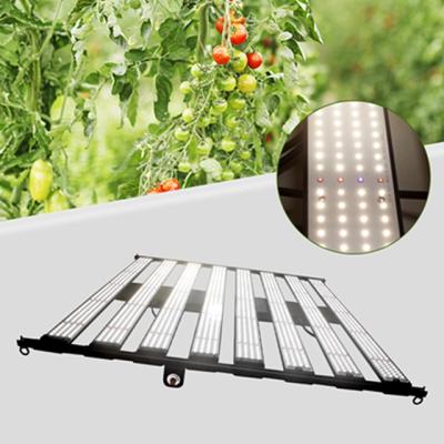 China Seed Starting Bifacial New Products Stadium Spotlights Projector Garden Spotlight for sale