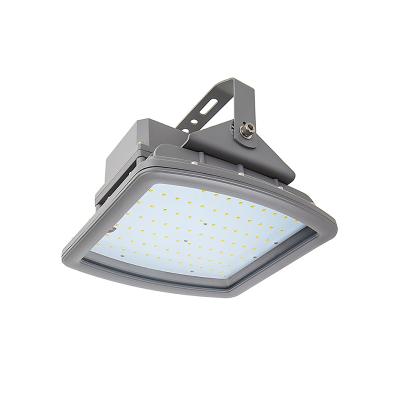 China ex-proof 30w led gas station ex-proof led canopy light for sale