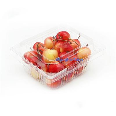 China Taiyu Disposable OEM Approved Food Grade Plastic Blister Packing 9 Inch Disposable Box Fruit Tray for sale