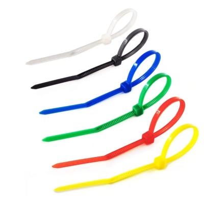 China PA66 Colorful Nylon Zipper Organizer Strap Cable Tie 100Pcs Fasten Tension Belt 3*100 Plastic Buckle Wire for sale