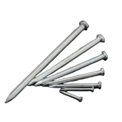 China China Flat Professional Manufacture Stsinless Furniture Fastener Tool Steel Nail for sale