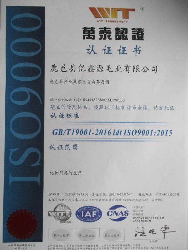 ISO9001 - Luyi Yixinyuan Wool Industry Co., Ltd.