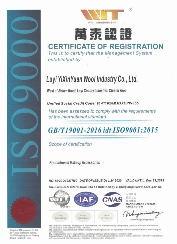 ISO9001 - Luyi Yixinyuan Wool Industry Co., Ltd.