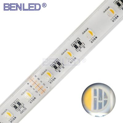 China High Qualities Waterproof SMD 5050 RGB RGBW 60 LED Theme Park Strip Light for sale