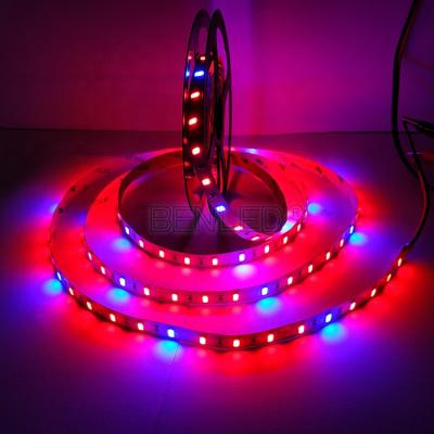 China Indoor Plant Grow Light Qualtities Good Plant Grow 5730 5630 LED Strip Light for sale