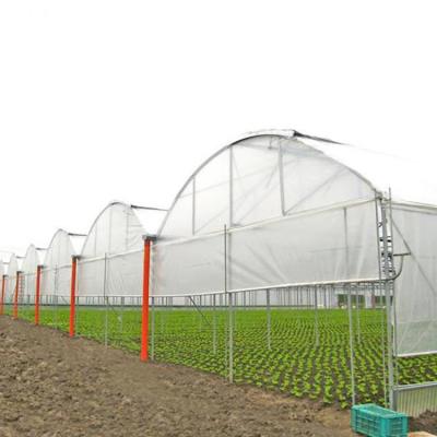 China Structure Pipe Galvanized Steel Frame Customizable Size And Structure High Poly Agriculture Tunnel Greenhouse For Sale for sale