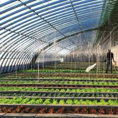 China Vegetable Fruits Flowers Strawberry Greenhouse Frames Tunnel System for sale