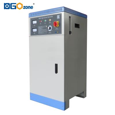 China Hotels DGOzone 100g ozone generation circuit for water treatment module integrated panel ozone generator machine for sale