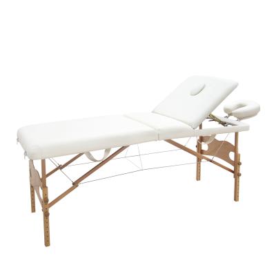 China Modern Portable Massage Bed Lightweight Beauty Salon TS-2707 for sale