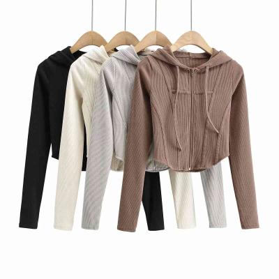 China Hot Sale Anti Wrinkle Streetwear Designer Regular Sleeve Cute Zip Up Sweater For Women for sale