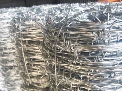 China IOWA type barbed wire BWG12XBGW12/BWG14XBGW14/BWG12XBGW14 4