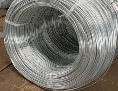 China Electro Galvanized Iron Wire for sale