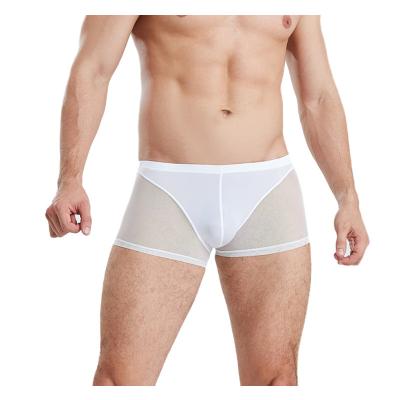 China Breathable Boxer Trunks Men Mesh Underwear Translucent Boxer Shorts Sexy Male Shorts Underwear Man for sale