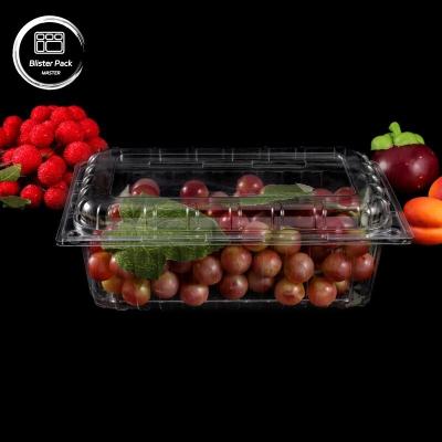 China Transparent PET Clamshell Fruit Containers Disposable Plastic Boxes with Lids for Litchi & Grape Packaging for sale