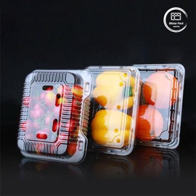 China OEM/ODM Clamshell eenmalig fruitbakje en groentenverpakkingen helder PET-plastic voedselkwaliteit Te koop