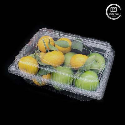 China Envases de plástico ondulado para frutas y verduras Contenedores de almacenamiento Cajas de envío resistentes reutilizables en venta