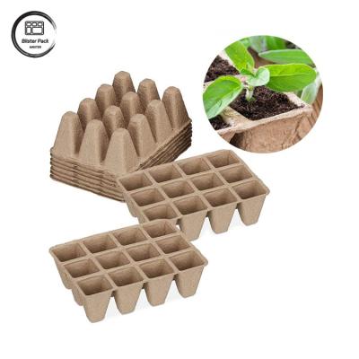 China Custom Biodegradable Sugarcane Bagasse 12 Cell Plant Trays Starter Kit For Seed Planting for sale