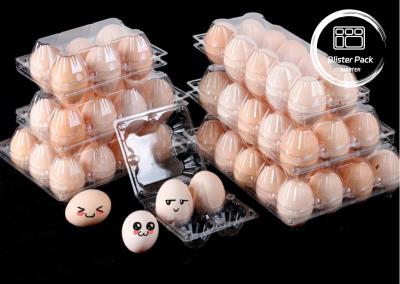 China 12 Hole Transparent Plastic Durable Egg Blister Tray Cartons for Secure Packaging for sale