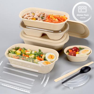 Cina Biodegradabile 2 Comparti Bagasse Canne da zucchero Bento Box - Contenitore alimentare sostenibile usa e getta in vendita