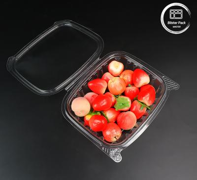 China 8oz wiederverwendbare PET-Umweltfreundliche Salatverpackung Premium Salatbehälter zum Mittagessen zu verkaufen