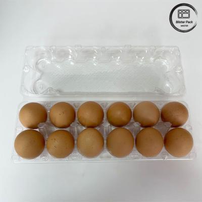 China 12 Count Reusable Chicken Egg Plastic Blister Tray Thermoforming Tray For Storage And Transportation