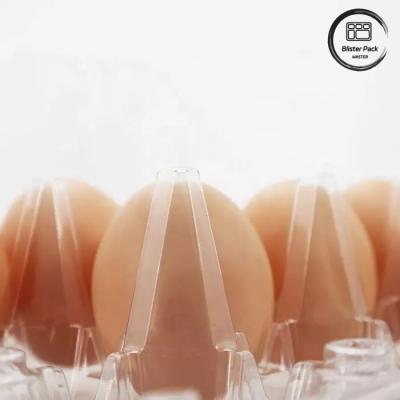 Chine Taille personnalisée plateau à ampoules d'oeufs en PET plateaux en plastique à vide jetables à vendre