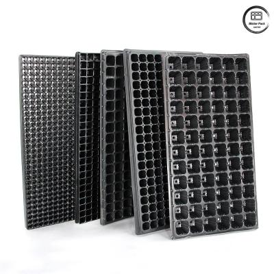 China Dauerhafte Plug-Seed Trays für die Pflanzenvermehrung, 28/32/50/72/105/128/200/288 Zellpflanzerei-Samen Trays zu verkaufen