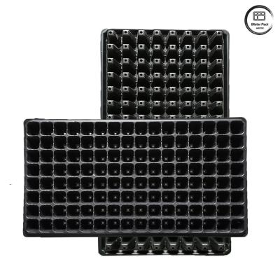 China 60-Cell Durable Plastic Seed Planting Tray for Greenhouse Agriculture and Dependable for sale