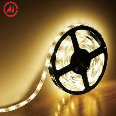 China High Quality 144leds Garden RGB SMD5050 Addressable Led Strip Light for sale