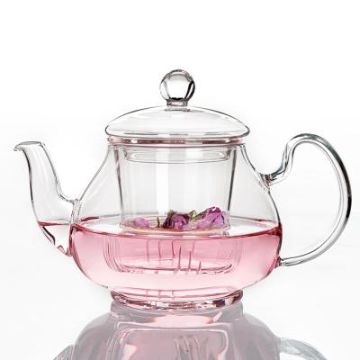 China Sustainable handblown glass teapot / pyrex glass teapot with glass strainer / microwave oven glass teapot for sale