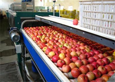 China High Speed Vegetable and Fruit Processing Machine / Apple Juice Making Machinery for sale