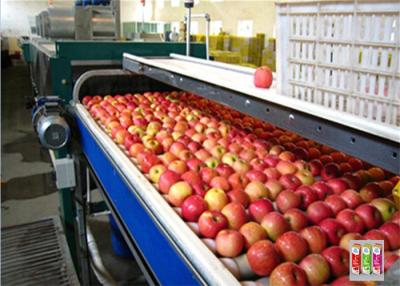 Cina Linea di produzione in bottiglia 20T/H elettrica del succo d'arancia automatica in vendita