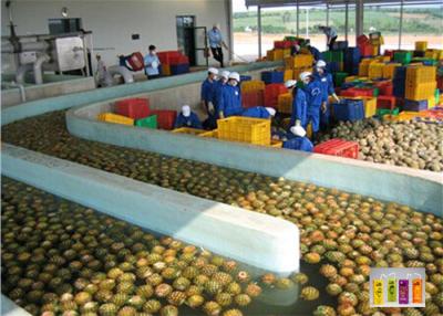 Cina Attrezzatura ad alta pressione del concentrato del succo, linea di trasformazione di mescolamento della bevanda della polvere in vendita