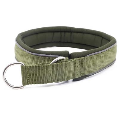 China Sustainable Wholesale Custom Soft Nylon Martingale Dog Collar With Soft Neoprene Padding for sale