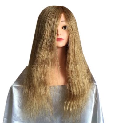 China Wholesale Mannequin Head Natural Hair Hairstyle Training Mannequins Head for sale