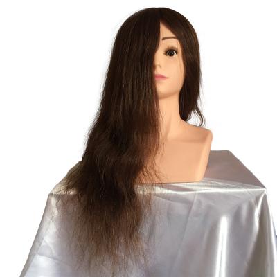 China Other hair wigs mannequin head with shoulders for wig display for sale