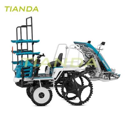 China Easy Operation 8 Rows Paddy Tray Rice Seedling Transplanting Machine for sale