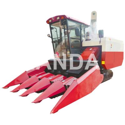 China Chinese Farms Corn Harvester 4 Rows Corn Header for sale