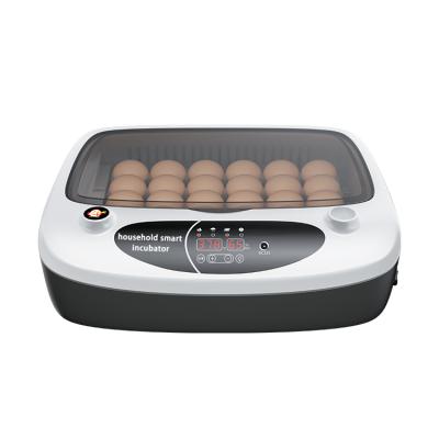 China Fully Automatic Farms 24 Chicken Egg Capacity Small Size Incubator for sale